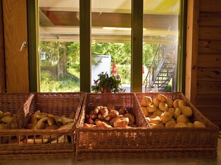 Vakantiepark Manhay  23