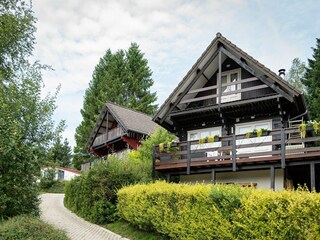 Vakantiepark Manhay Buitenaudio-opname 8