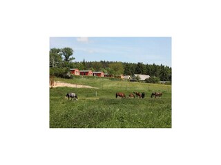 Ferienhaus Lohmen in Mecklenburg Außenaufnahme 7