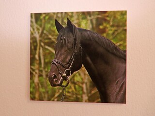 Maison de vacances Lohmen in Mecklenburg Équipement 14