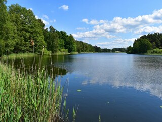 Maison de vacances Lohmen in Mecklenburg Environnement 41
