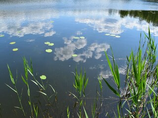Maison de vacances Lohmen in Mecklenburg Environnement 40