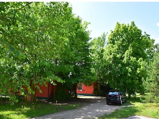 Ferienhaus Lohmen in Mecklenburg Umgebung 41