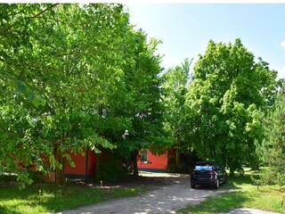 Vakantiehuis Lohmen in Mecklenburg Omgeving 44