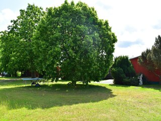Ferienhaus Lohmen in Mecklenburg Umgebung 34