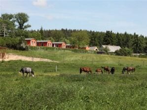 Ferienhaus mit großer Terrasse am Garder See - Lohmen in Mecklenburg - image1