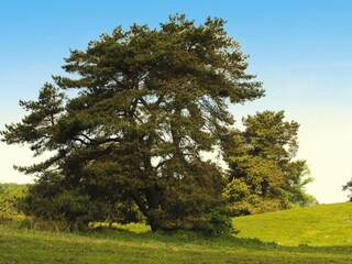 Vakantiehuis Lohmen in Mecklenburg Omgeving 44