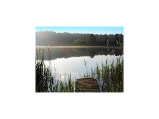 Maison de vacances Lohmen in Mecklenburg Environnement 15