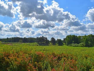 Ferienhaus Lohmen in Mecklenburg Außenaufnahme 2
