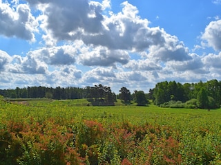 Holiday house Lohmen in Mecklenburg Outdoor Recording 2