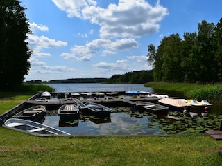Holiday house Lohmen in Mecklenburg Environment 36