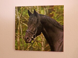 Vakantiehuis Lohmen in Mecklenburg  45