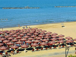 Vakantiepark Pineto  8