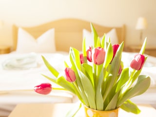 Holiday apartment Groß Zicker Features 14