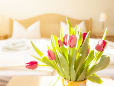 Ferienwohnung "Am Kiekenbusch" Groß Zicker