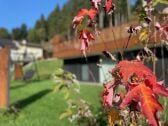 Apartamento Mühlbach im Pinzgau Grabación al aire libre 1