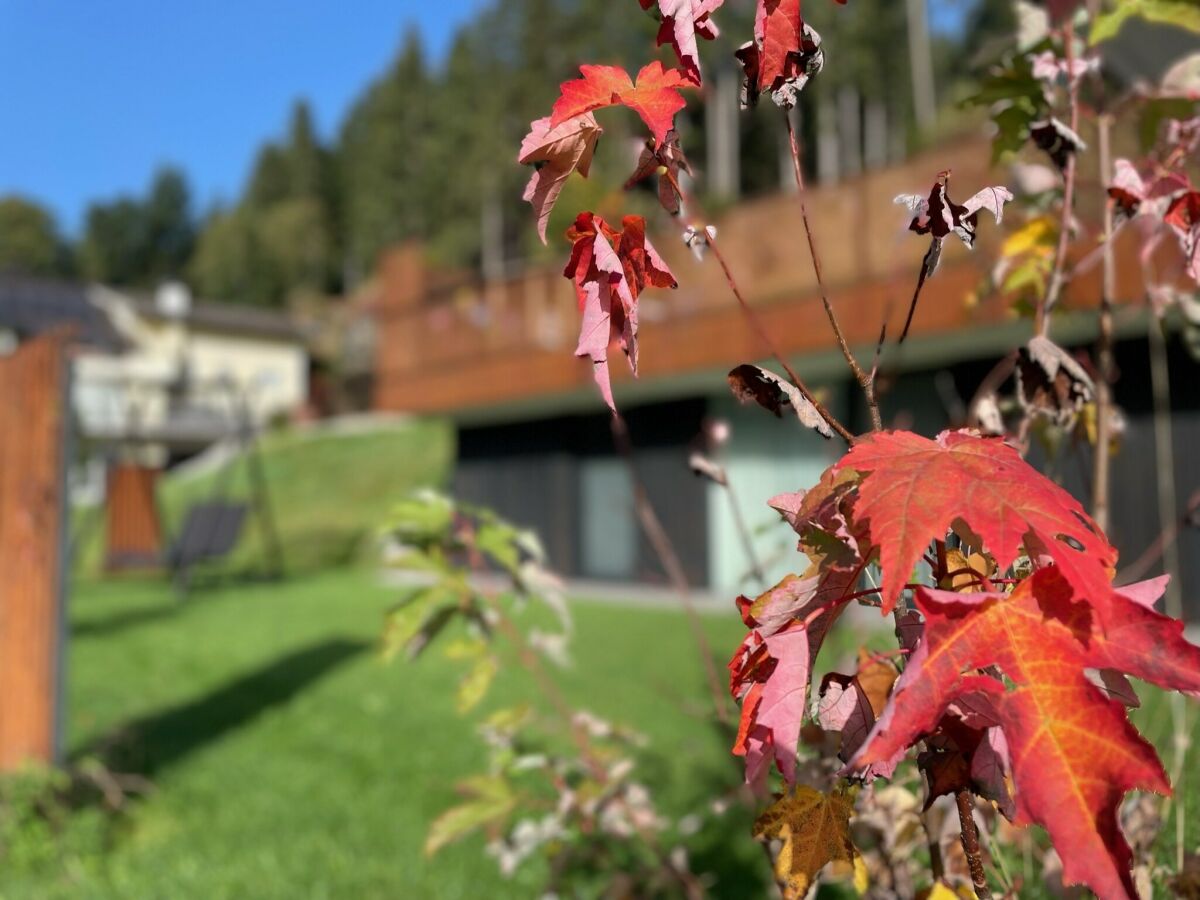 Appartement Mühlbach im Pinzgau Buitenaudio-opname 1