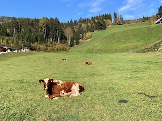 Apartment Mühlbach im Pinzgau  39