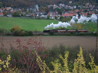 Holiday house Gernrode Environment 18