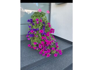 Blumenfreuden