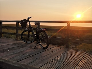Fahrrad fahren