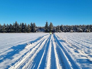 Vakantiehuis Brenderup  36