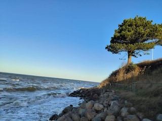 Casa de vacaciones Brenderup  43