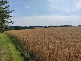 Ferienhaus Fåborg  18