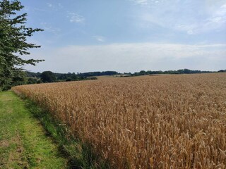 Maison de vacances Fåborg  18