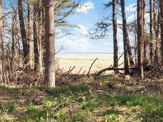 Maison de vacances Lyngså  7