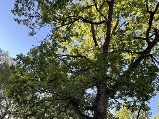 Ferienhaus Hölö Außenaufnahme 5