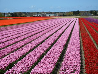 Vakantiehuis Welt Omgeving 30