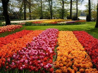 Vakantiehuis Welt Omgeving 29