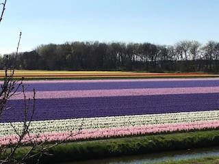 Vakantiehuis Welt Omgeving 31