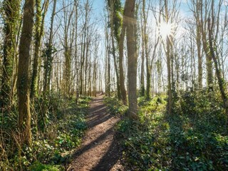 Holiday house Welt Environment 28