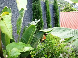 Holiday house Porto da Cruz Outdoor Recording 4