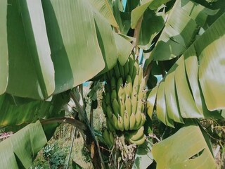 Casa de vacaciones Porto da Cruz Grabación al aire libre 6