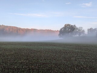 Herbststimmung