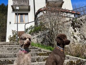 Ferienhaus Villa Emma in Pieve am Ledrosee - Pieve di Ledro - image1