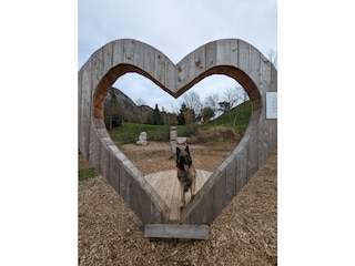 Dogs are welcome