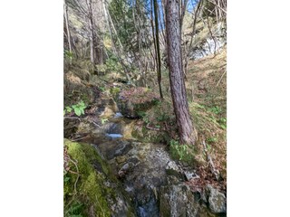 Kilometers of hiking trails and mountain bike routes
