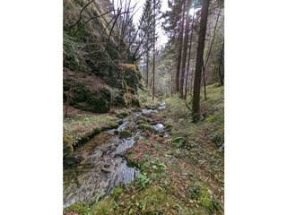 Kilometers of hiking trails and mountain bike routes