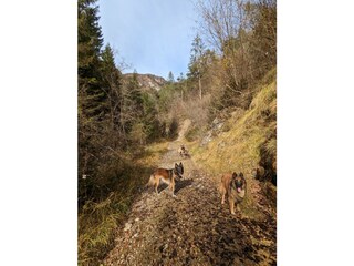 Kilometers of hiking trails and mountain bike routes