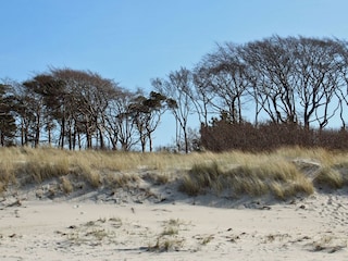 Darßer Weststrand