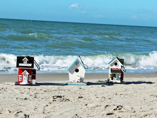 Häuser am Darßer Weststrand