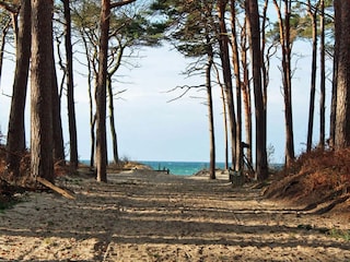 Your Darß vacation: Inspiration at the West Beach