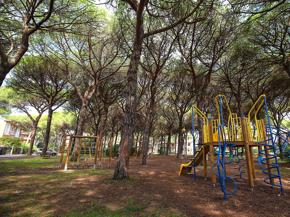 Pinienhain mit Spielplatz