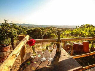 Holiday house Scansano Environment 31