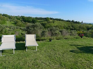 Holiday house Scansano Environment 38