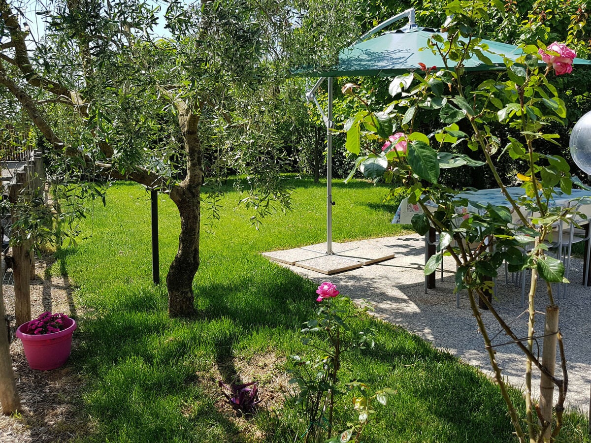 Der Garten